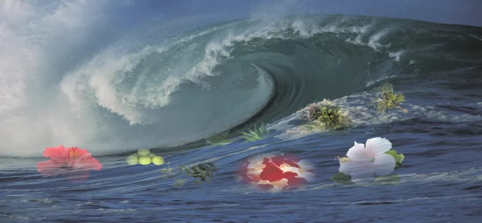 Amruta Abhishek Hydrotherapy