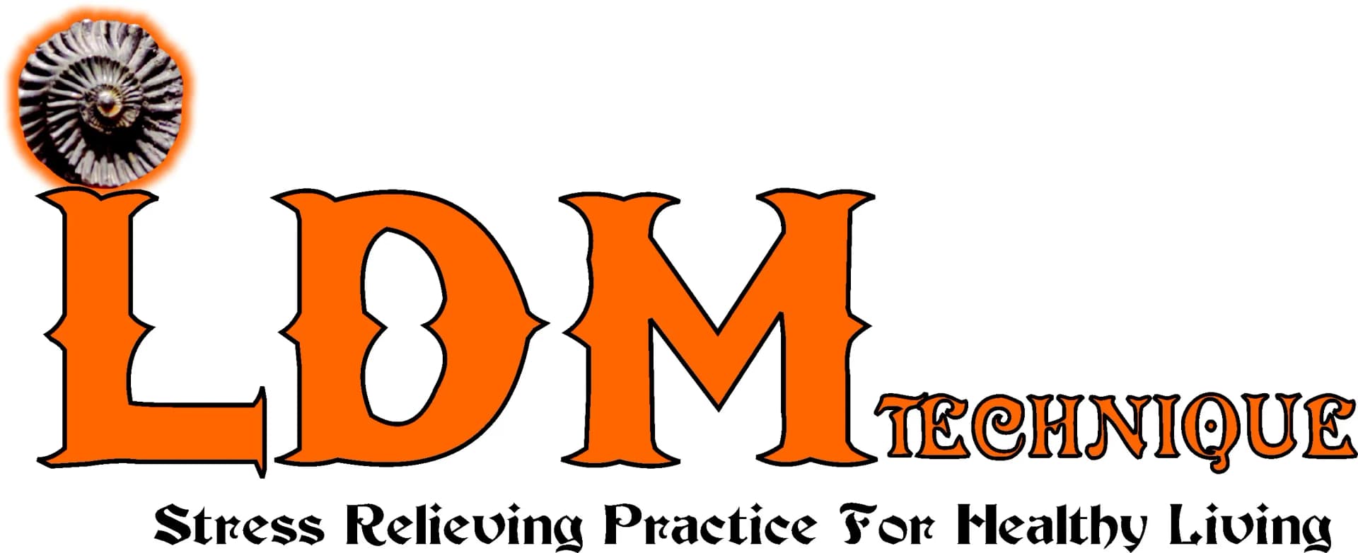LDM Meditation Technique
